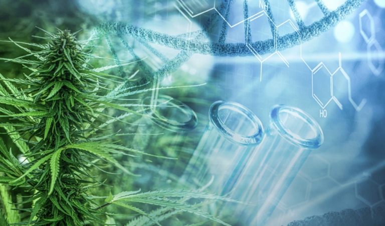 Marijuana Schedule III Rescheduling: What It Does — and Does Not — Mean for Cannabis Businesses